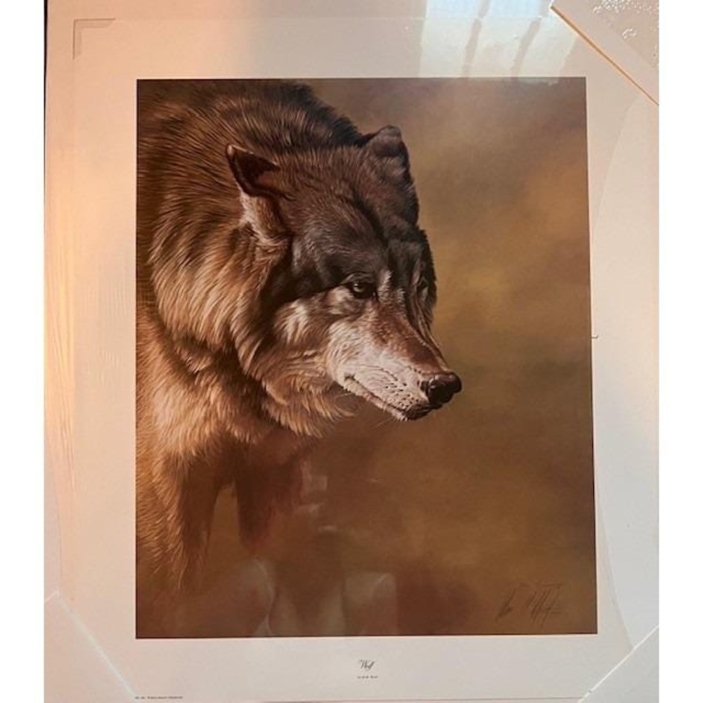 Alan Hunt Wolf Portrait Signed Limited Edition Art Print 80's New Wildlife 794
